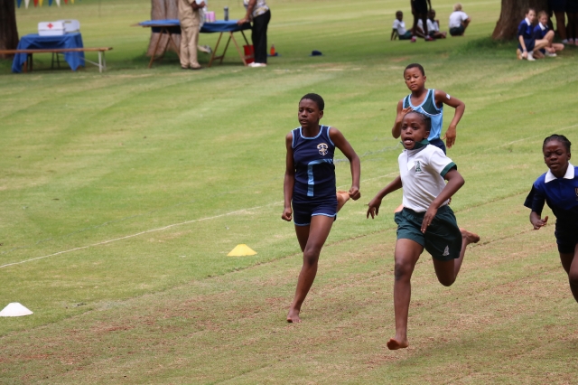 Athletics
