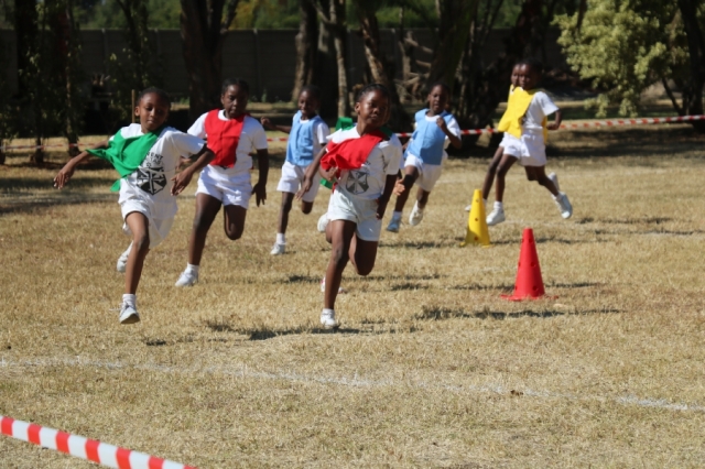Mini Olympics
